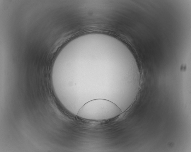 X0000113140162200909041005