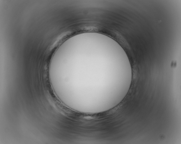X0000113140163200909041005