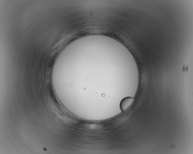 X0000113140165200909041005