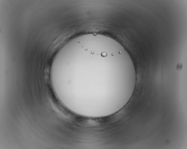 X0000113140166200909041005