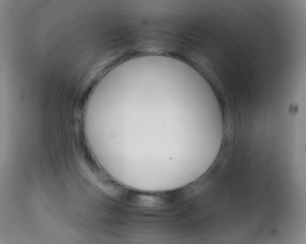 X0000113140167200909041005