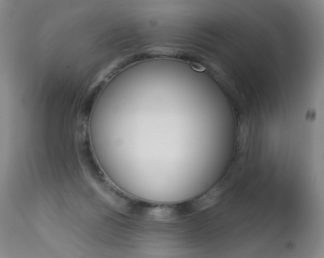 X0000113140168200909041005