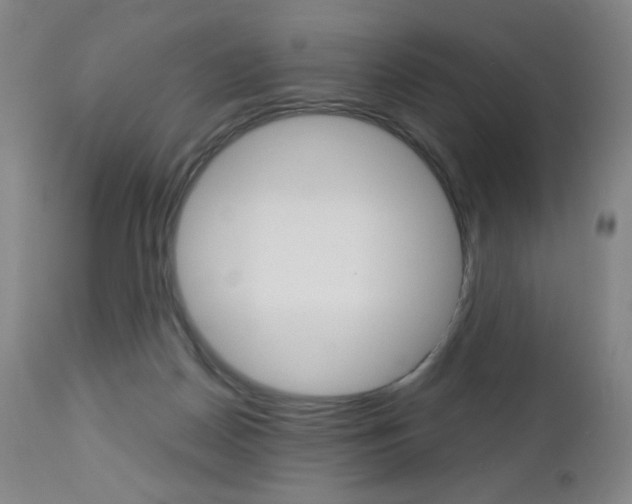 X0000113140170200909041005