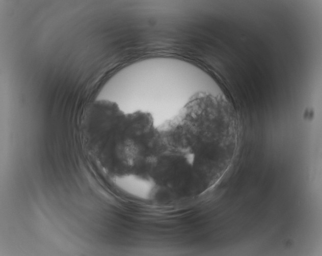 X0000113140171200909041005