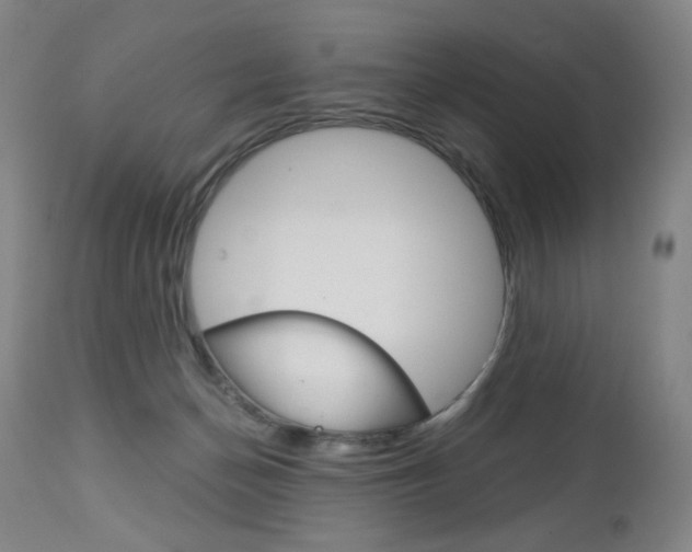 X0000113140174200909041005