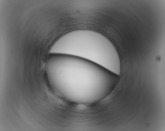 X0000113140176200909041005