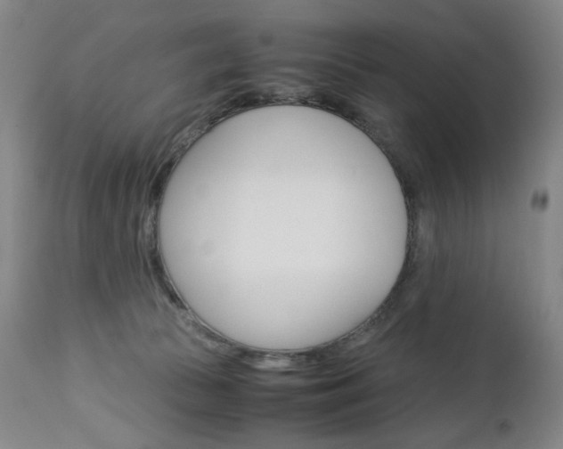 X0000113140177200909041005