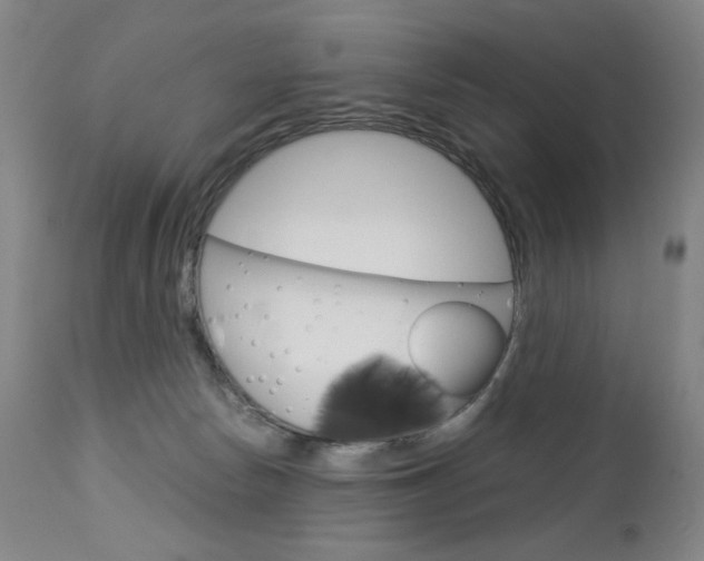 X0000113140178200909041005