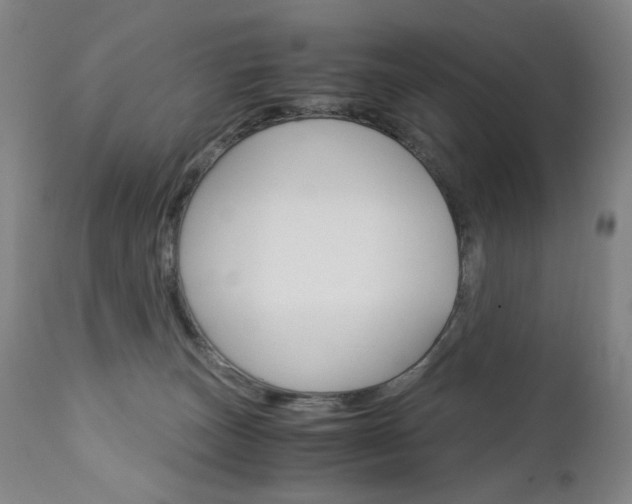 X0000113140179200909041005