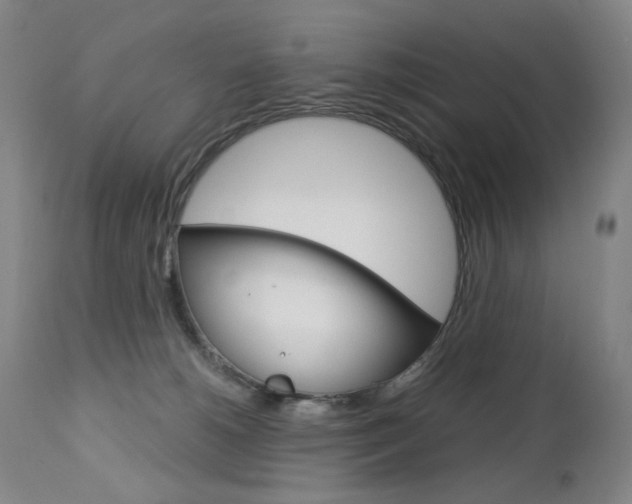 X0000113140180200909041005