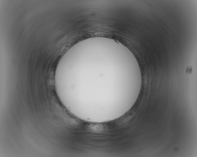 X0000113140181200909041005