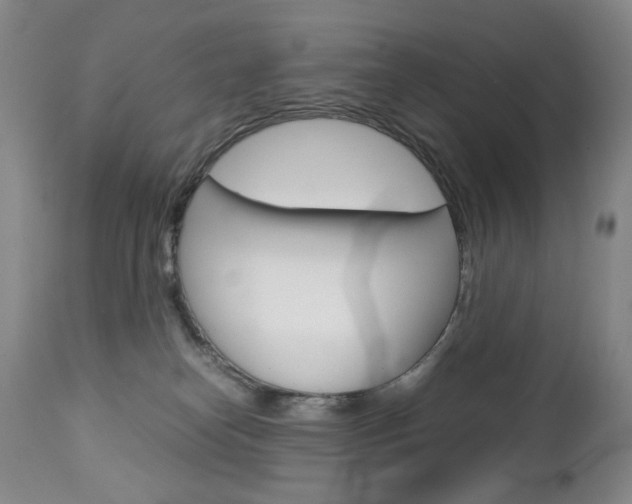 X0000113140182200909041005