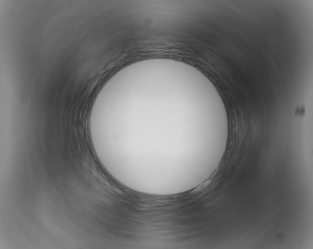 X0000113140184200909041005