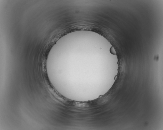 X0000113140185200909041005