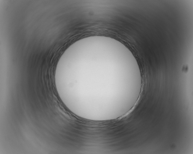 X0000113140186200909041005