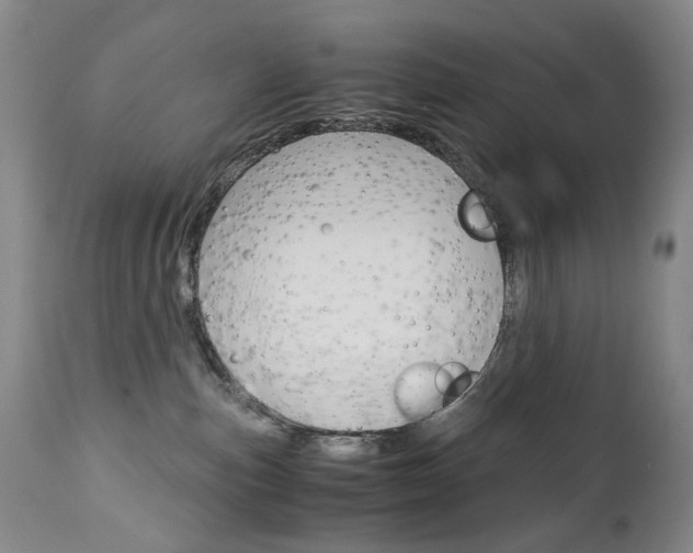 X0000113140187200909041005