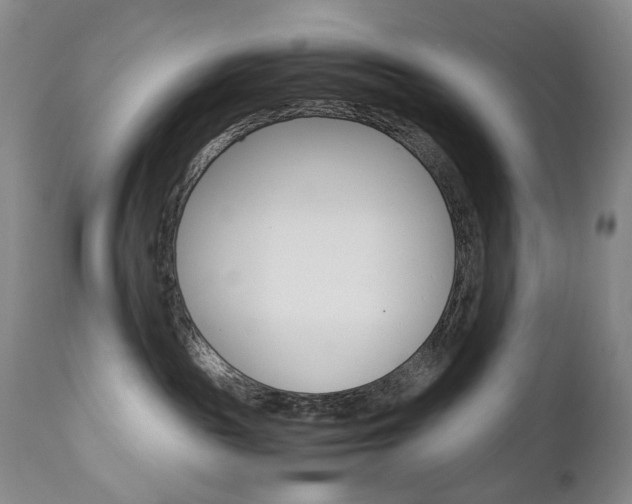 X0000113140189200909041006