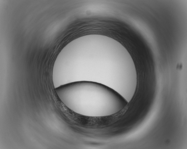 X0000113140190200909041006