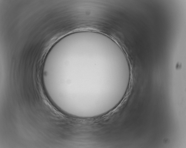 X0000113140193200909041005