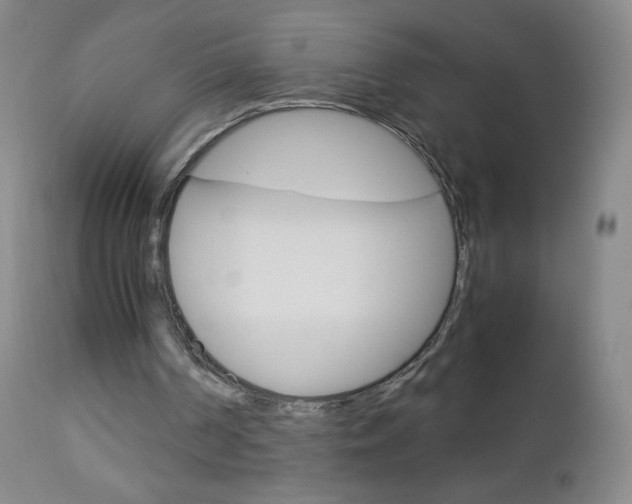 X0000113140194200909041005