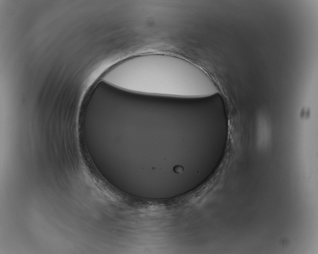 X0000113140196200909041005