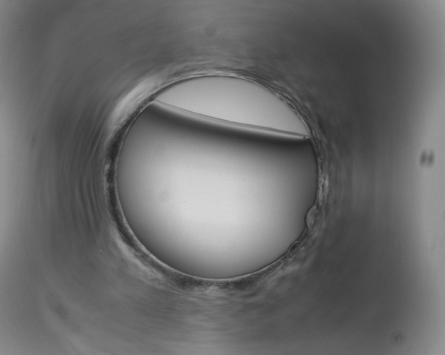 X0000113140197200909041005