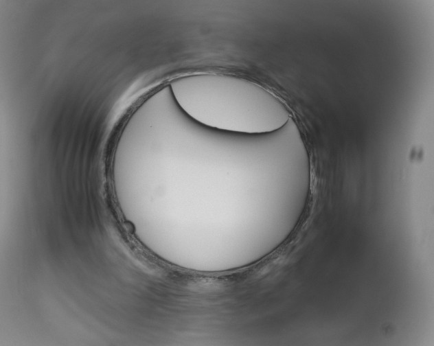 X0000113140198200909041005