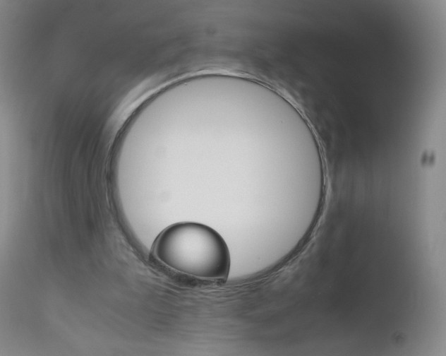X0000113140199200909041005