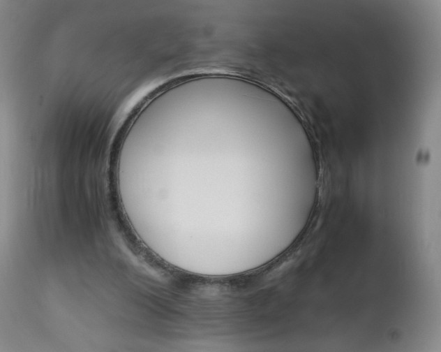 X0000113140200200909041005