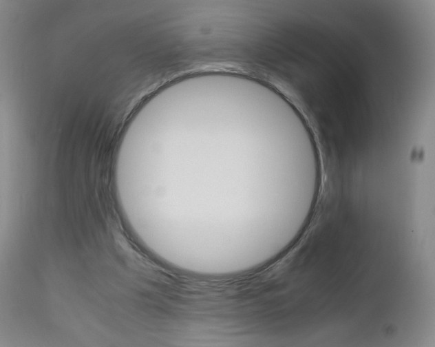 X0000113140201200909041005