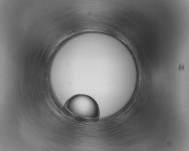 X0000113140203200909041005