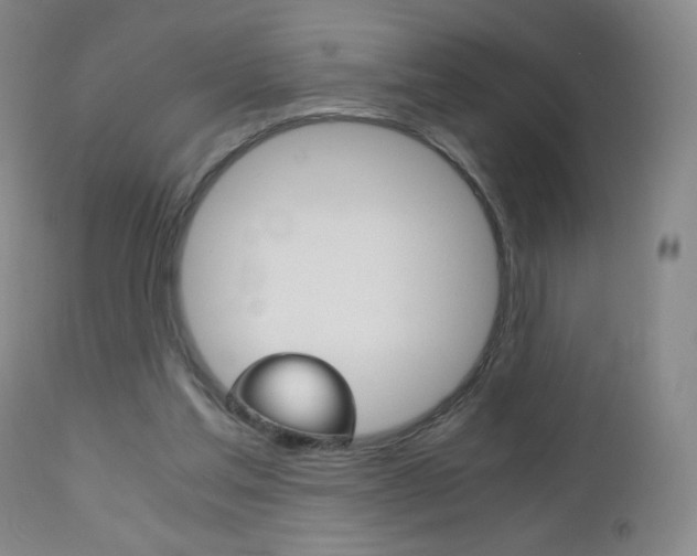 X0000113140205200909041005