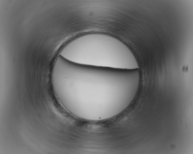 X0000113140208200909041005