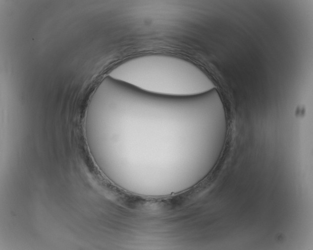 X0000113140209200909041005