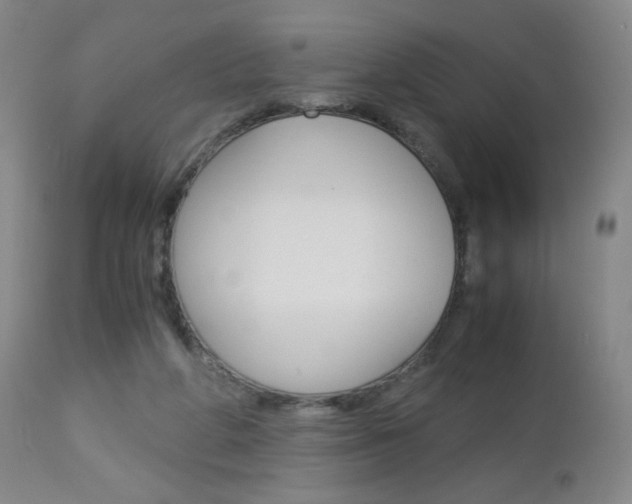 X0000113140210200909041005