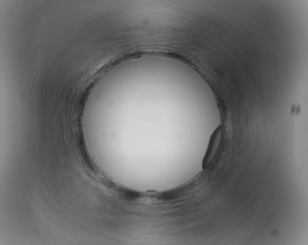 X0000113140211200909041005
