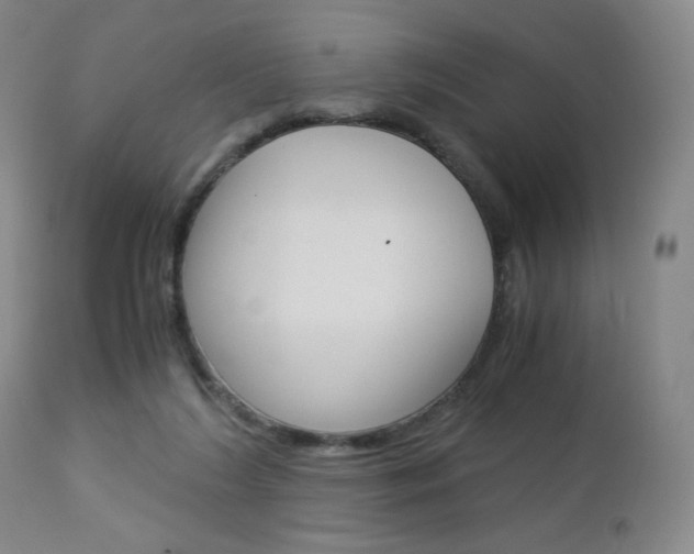 X0000113140212200909041005