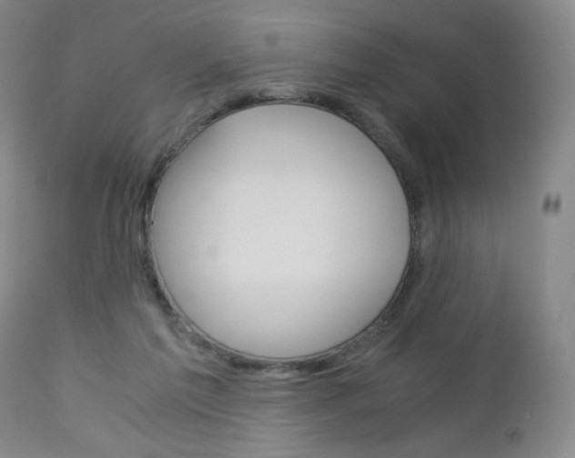 X0000113140213200909041005