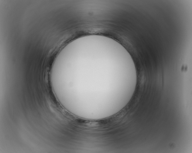 X0000113140214200909041005
