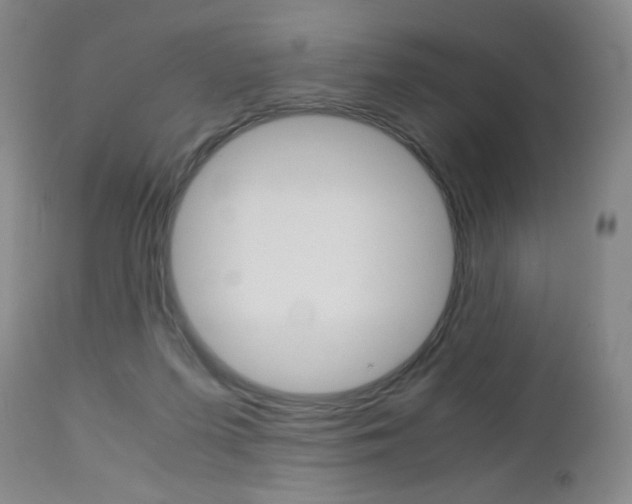 X0000113140215200909041005