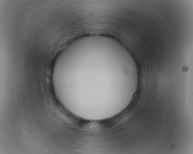 X0000113140219200909041005