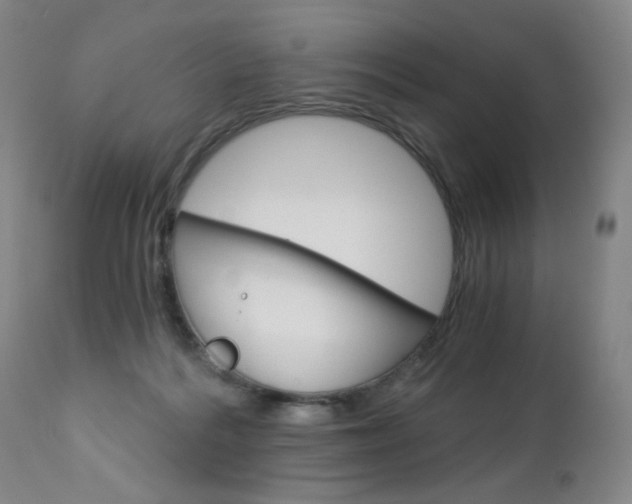 X0000113140220200909041005