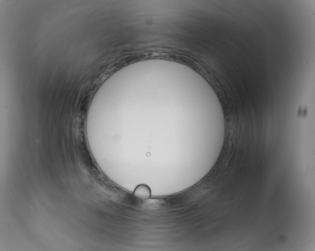 X0000113140222200909041004
