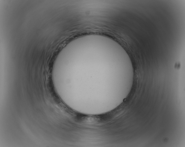 X0000113140223200909041004