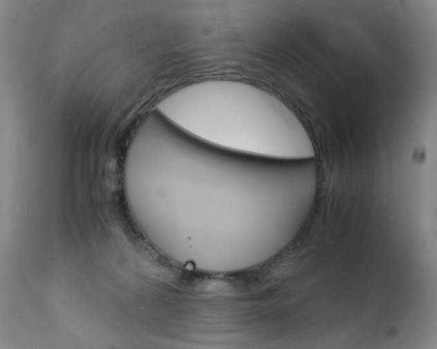 X0000113140224200909041004