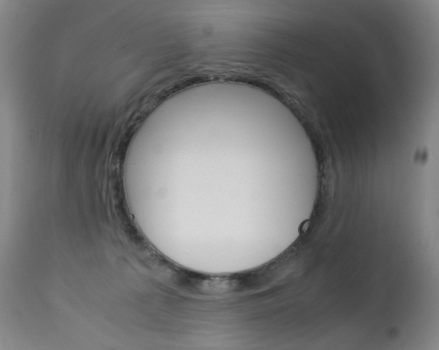 X0000113140225200909041004