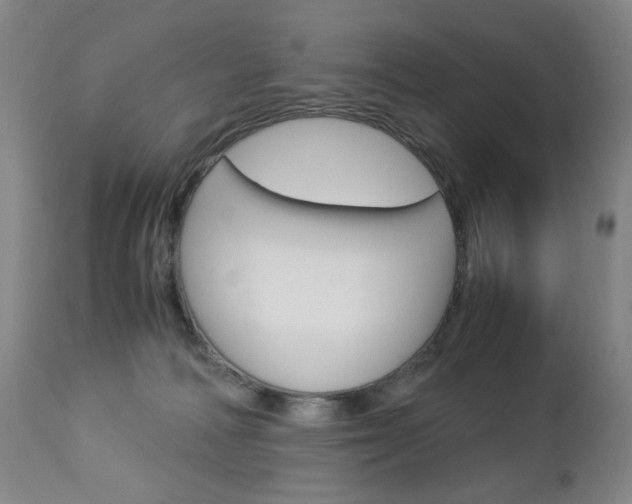 X0000113140226200909041004