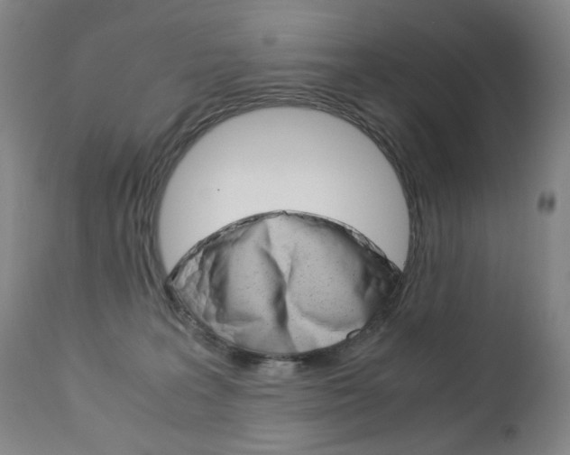 X0000113140227200909041004