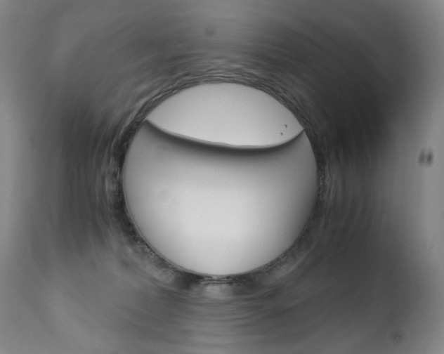 X0000113140228200909041004