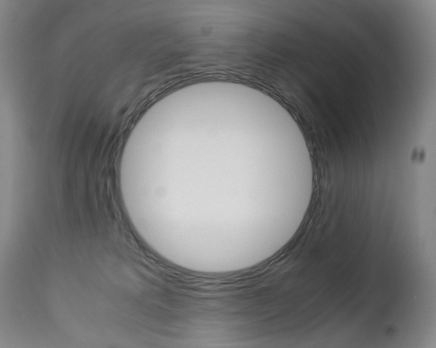 X0000113140229200909041004